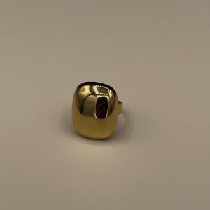 Golden Horizon Ajustable Ring